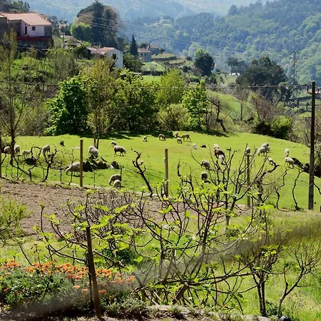 Casa Do Tarrio * 拜昂
